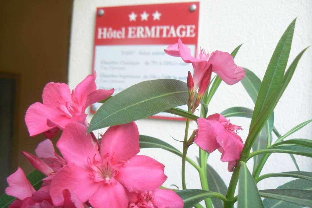 Hotel Ermitage Les Angles  Servicios foto